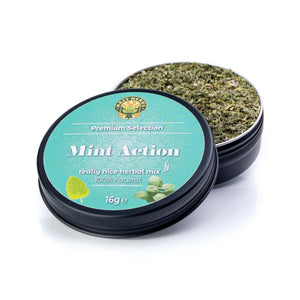 Das Frische Brise-Bundle: Grünzeug + Mint Action + Alpenwiese (+ 1 Gratis Dose deiner Wahl!)