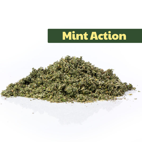 Mint Action (aktivierend & minzig-mild) 16g Kräutertee-Mischung