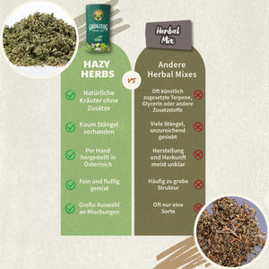 Mint Action 16g Kräutertee-Mischung mit aktivierender & erfrischender Minze (in der Dose)